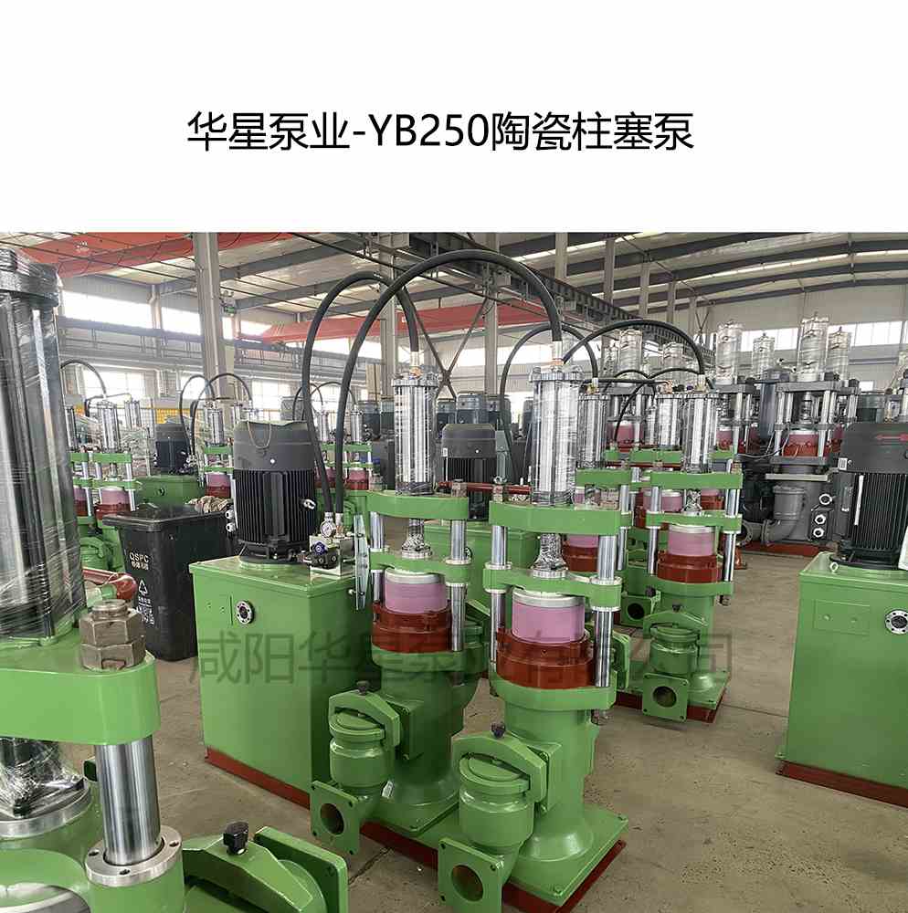 客戶(hù)給訂購(gòu)一臺(tái)YB250陶瓷柱塞泵